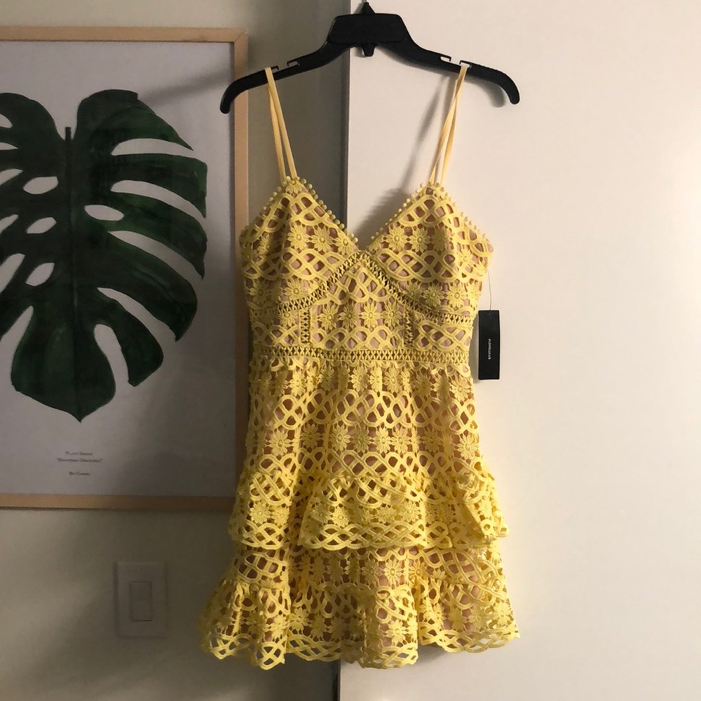 NWOT Lulus Dress